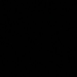 Meet your Posher, Orlando